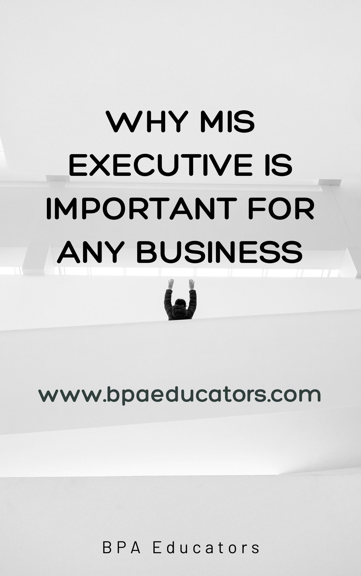 Importance of MIS in Business Organization